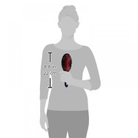 Щетка для волос женская Kent Brushes Csfl 5011637076257